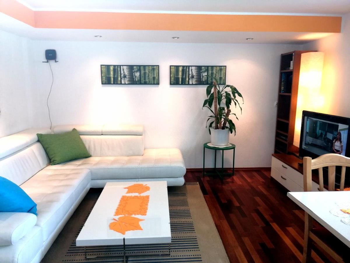 Mateja House - Apartments In Zirovnica Rodine Dış mekan fotoğraf