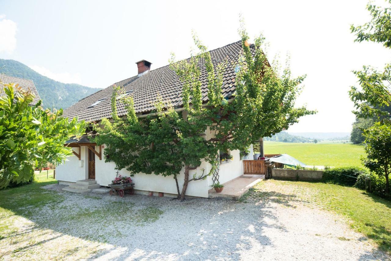 Mateja House - Apartments In Zirovnica Rodine Dış mekan fotoğraf