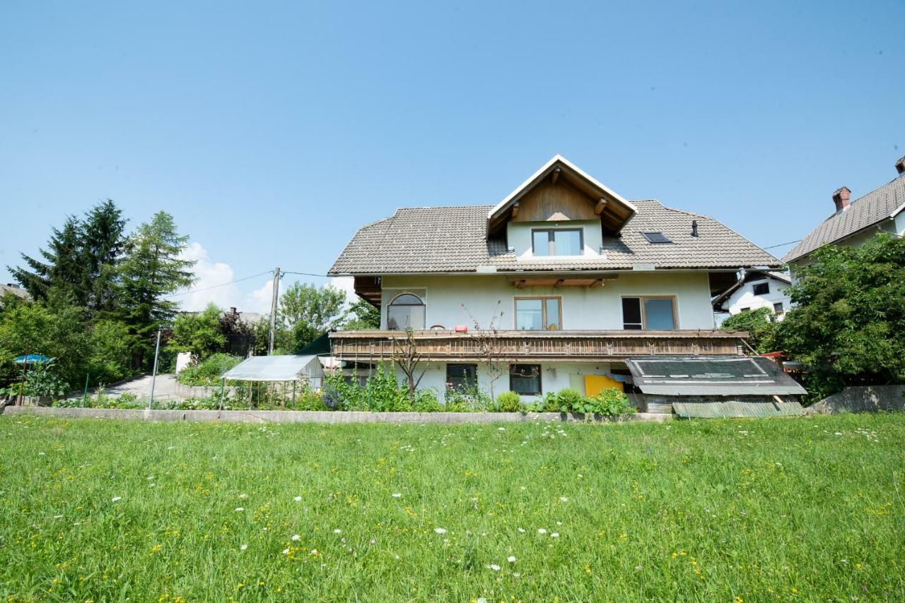 Mateja House - Apartments In Zirovnica Rodine Dış mekan fotoğraf
